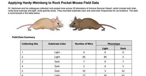 Applying Hardy Weinberg To Rock Pocket Mouse Field Data