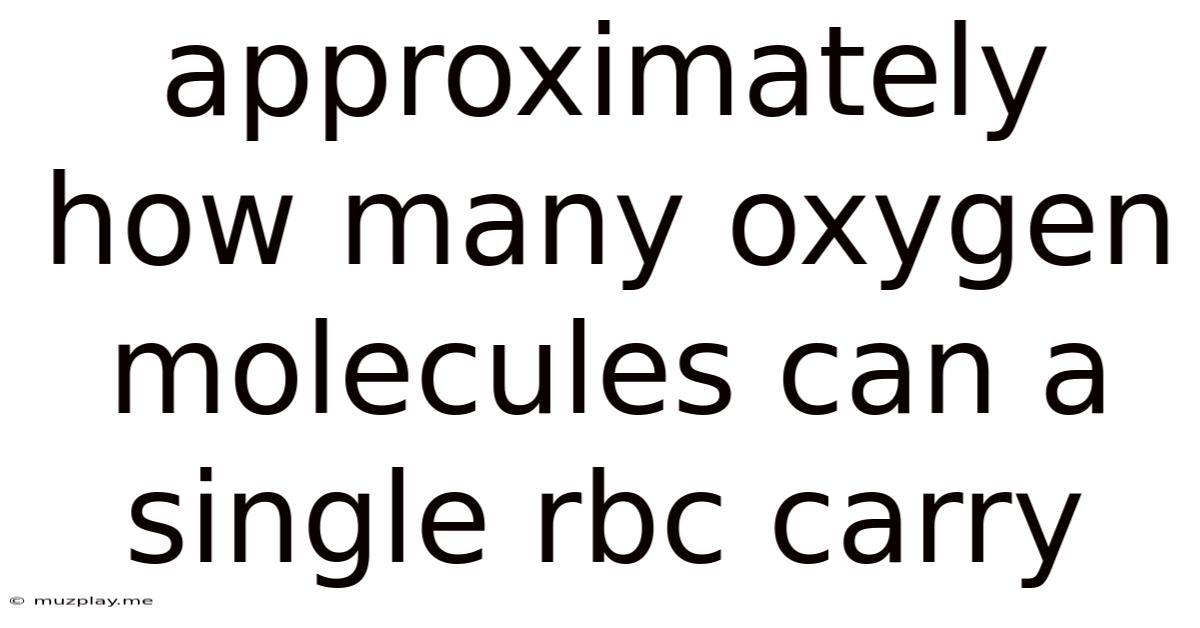 Approximately How Many Oxygen Molecules Can A Single Rbc Carry