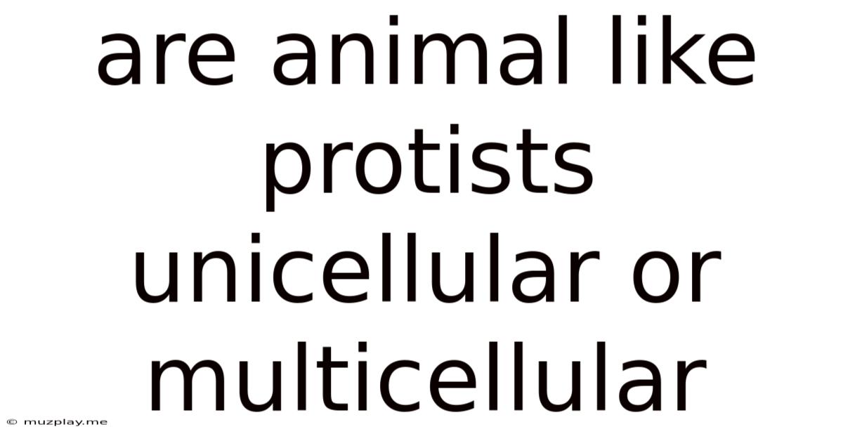 Are Animal Like Protists Unicellular Or Multicellular