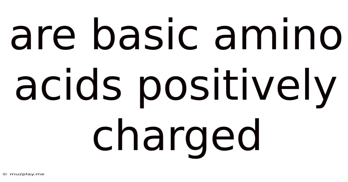 Are Basic Amino Acids Positively Charged