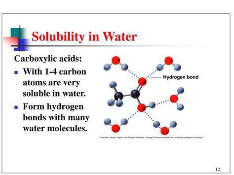 Are Carboxylic Acids Soluble In Water