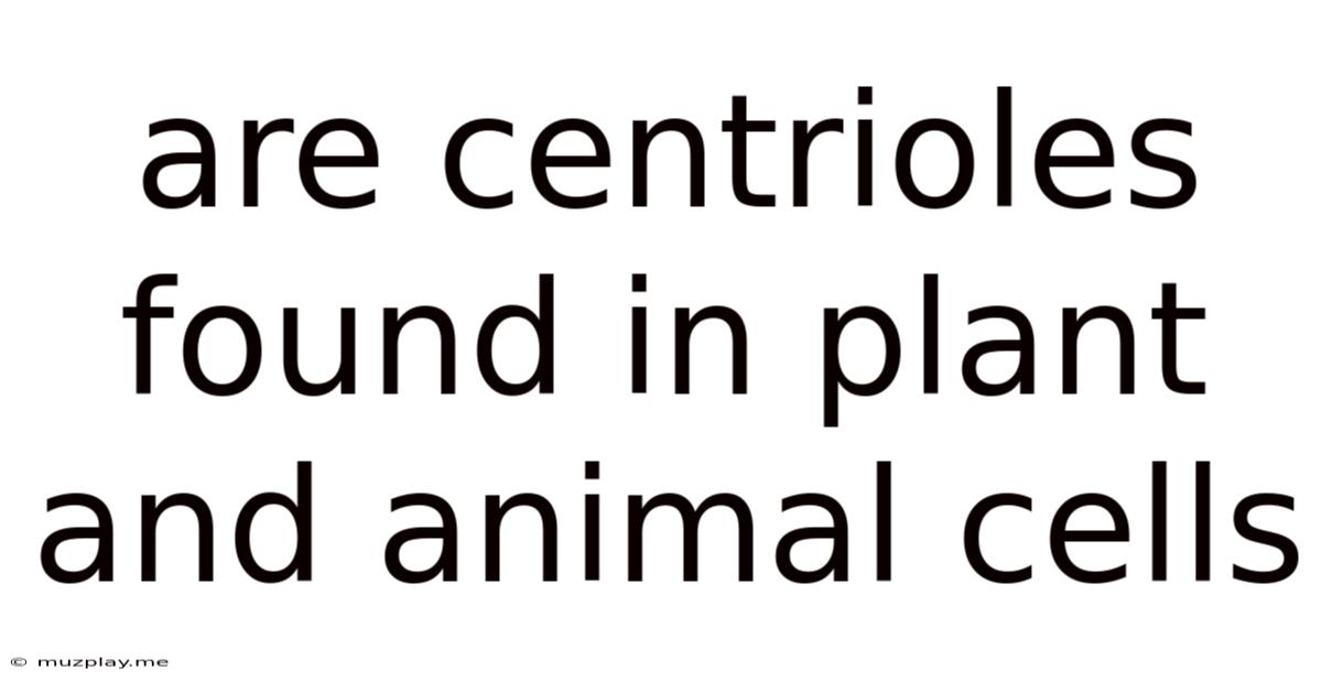 Are Centrioles Found In Plant And Animal Cells