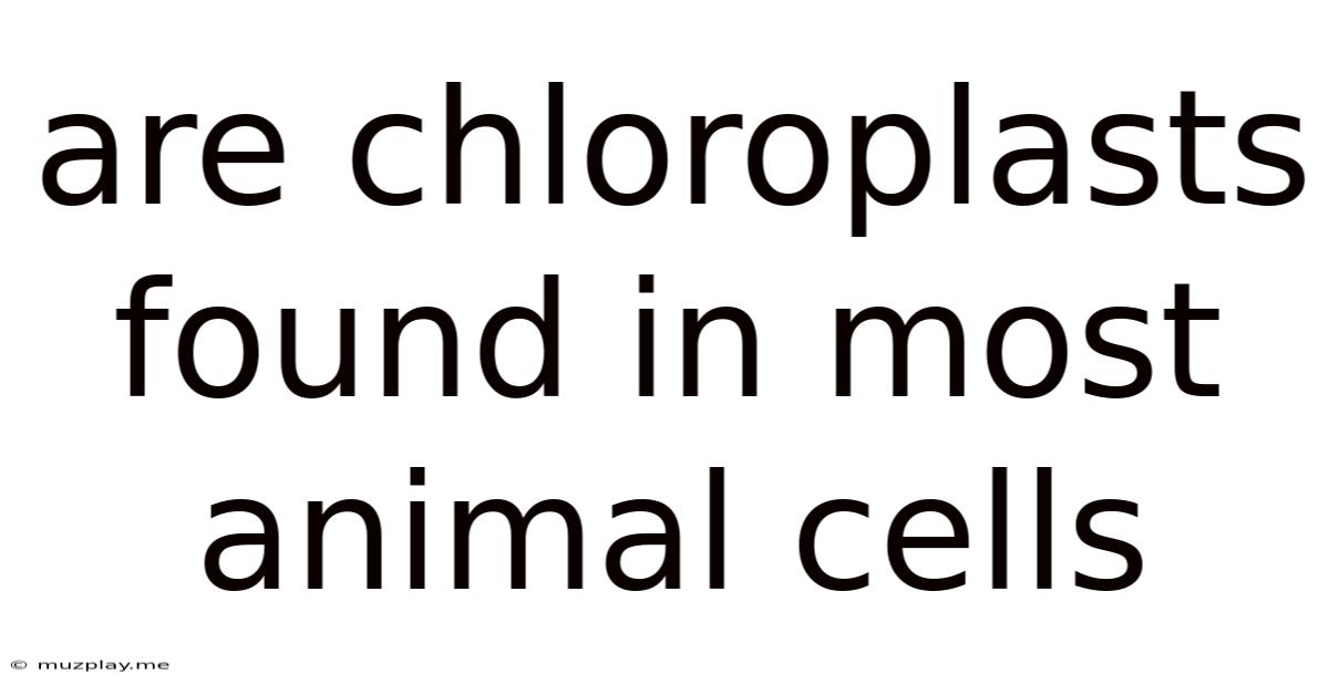 Are Chloroplasts Found In Most Animal Cells