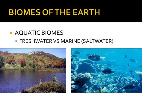 Are Freshwater And Saltwater Biomes Equal On Earth