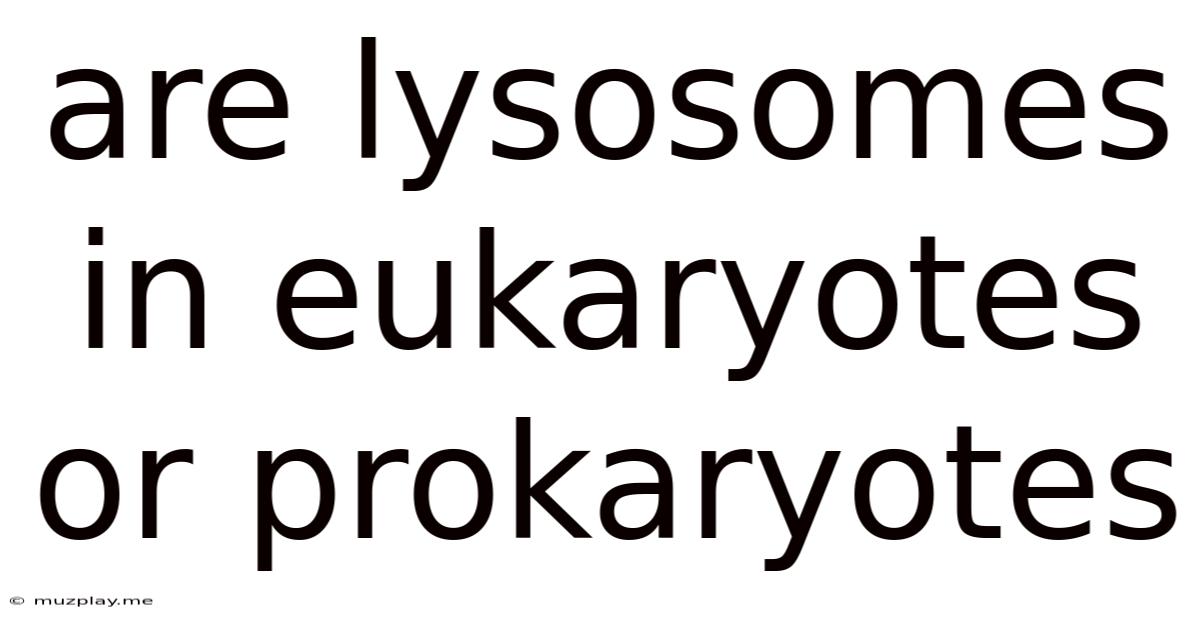 Are Lysosomes In Eukaryotes Or Prokaryotes