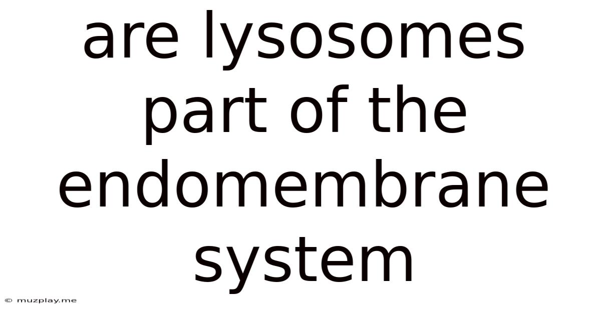 Are Lysosomes Part Of The Endomembrane System