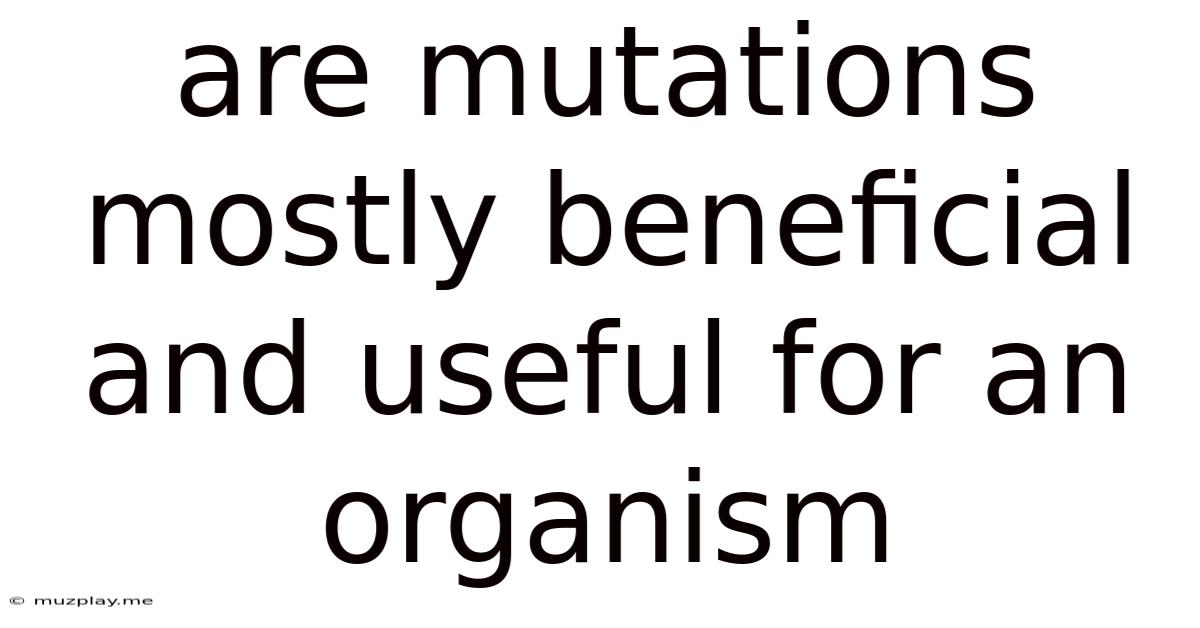 Are Mutations Mostly Beneficial And Useful For An Organism