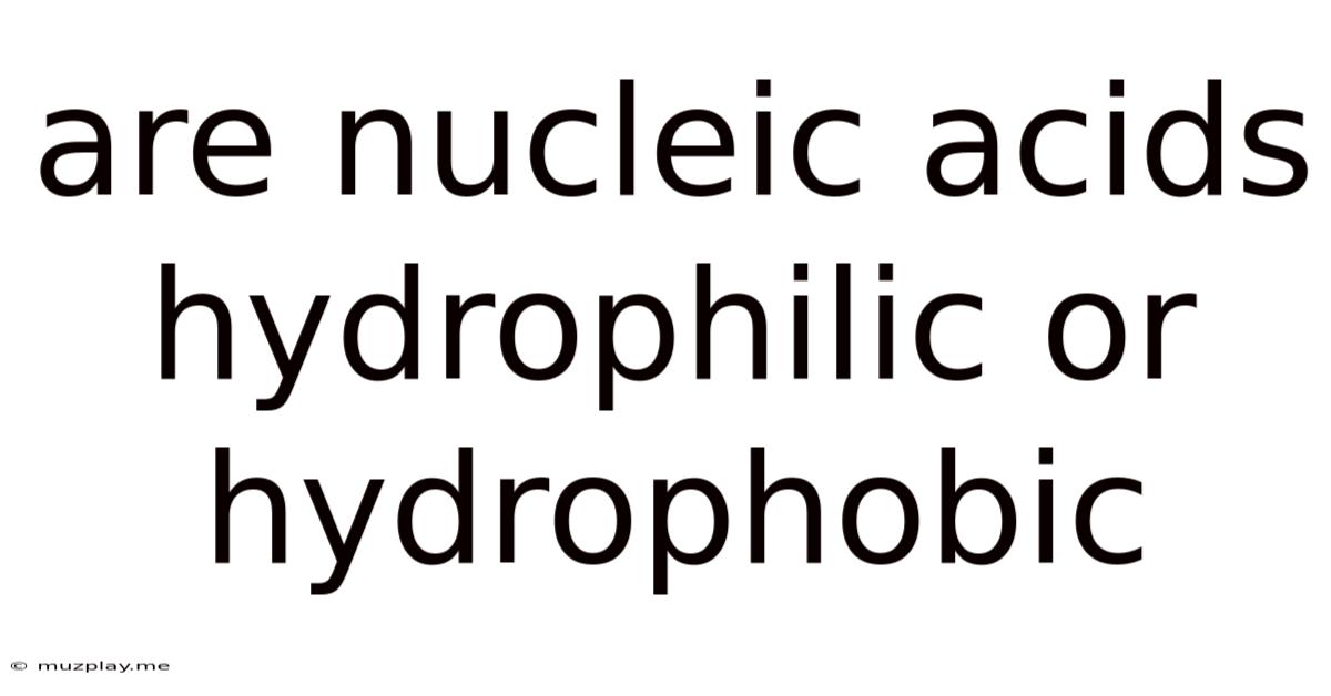 Are Nucleic Acids Hydrophilic Or Hydrophobic