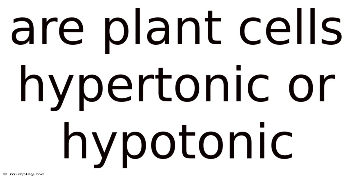 Are Plant Cells Hypertonic Or Hypotonic