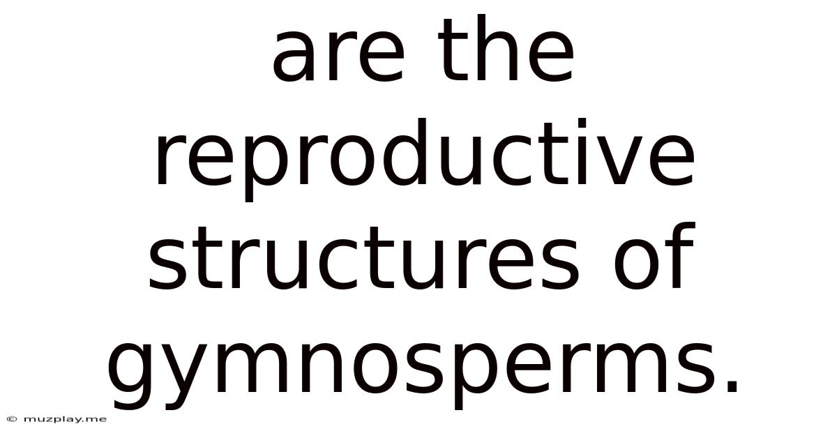 Are The Reproductive Structures Of Gymnosperms.