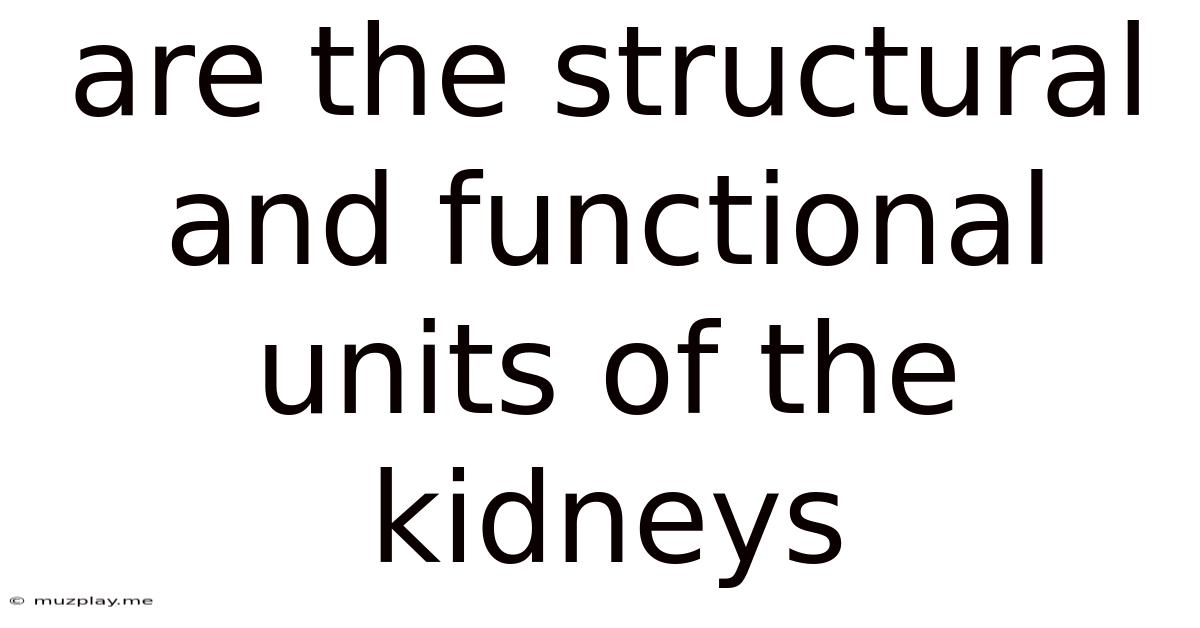Are The Structural And Functional Units Of The Kidneys