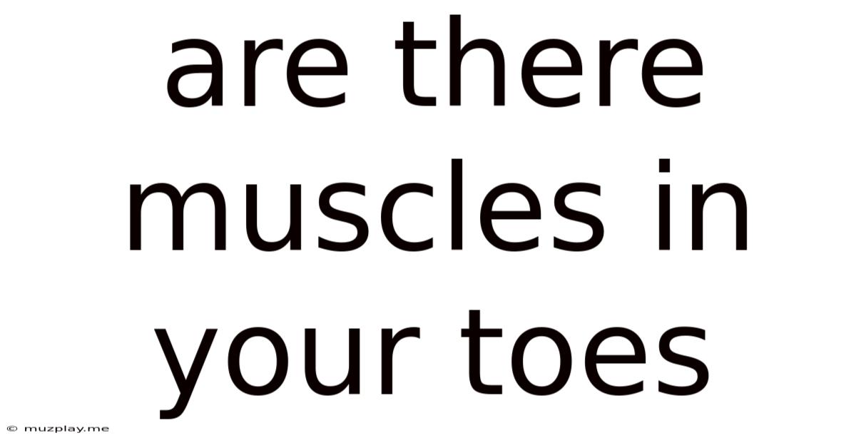 Are There Muscles In Your Toes