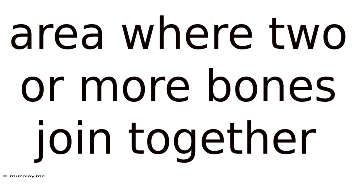 Area Where Two Or More Bones Join Together