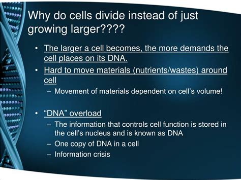 As A Body Cell Grows Larger The Ratio Of