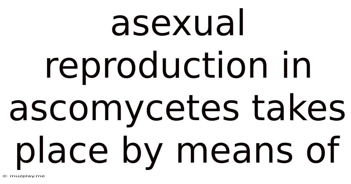 Asexual Reproduction In Ascomycetes Takes Place By Means Of