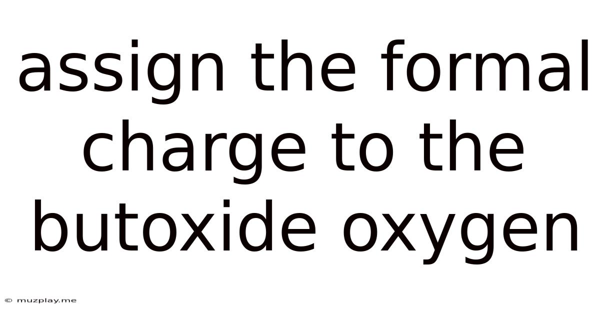 Assign The Formal Charge To The Butoxide Oxygen