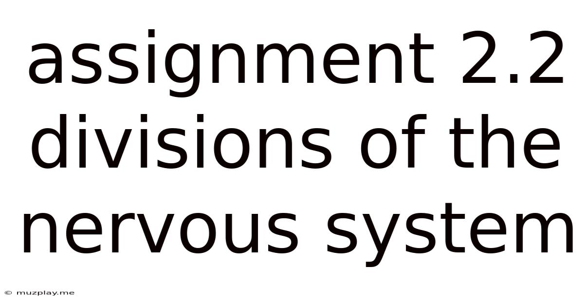 Assignment 2.2 Divisions Of The Nervous System