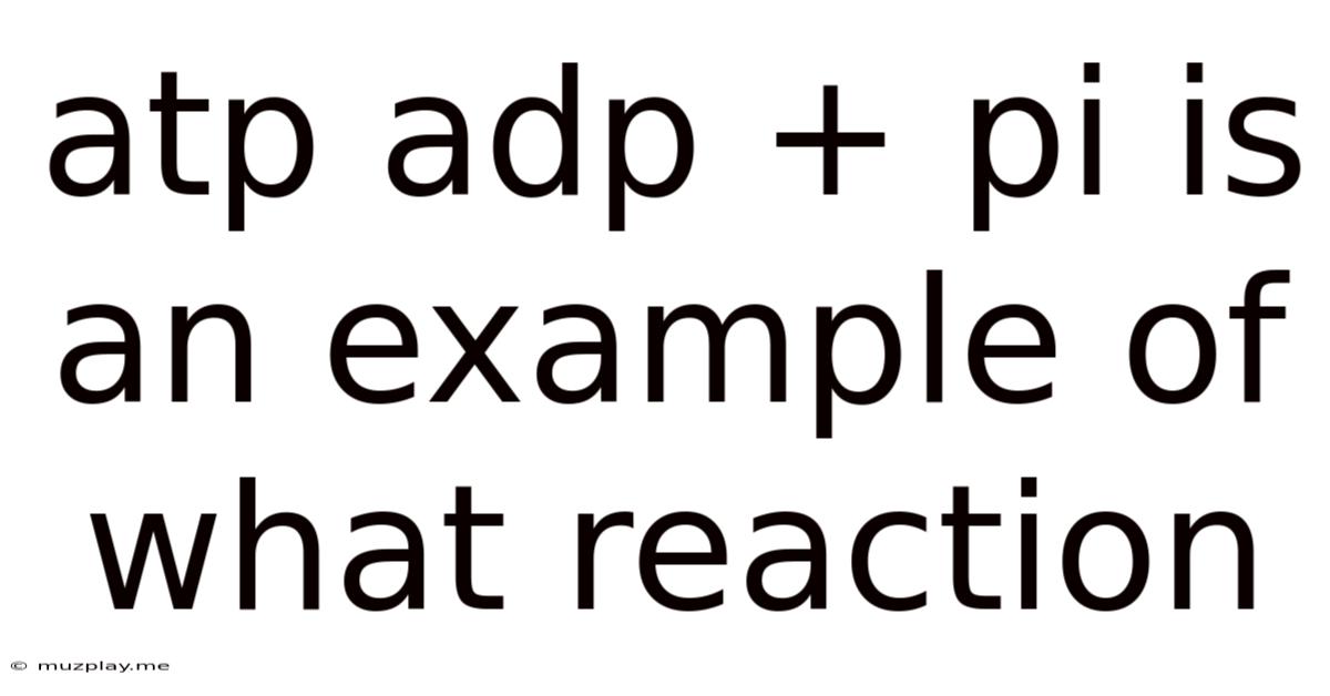 Atp Adp + Pi Is An Example Of What Reaction