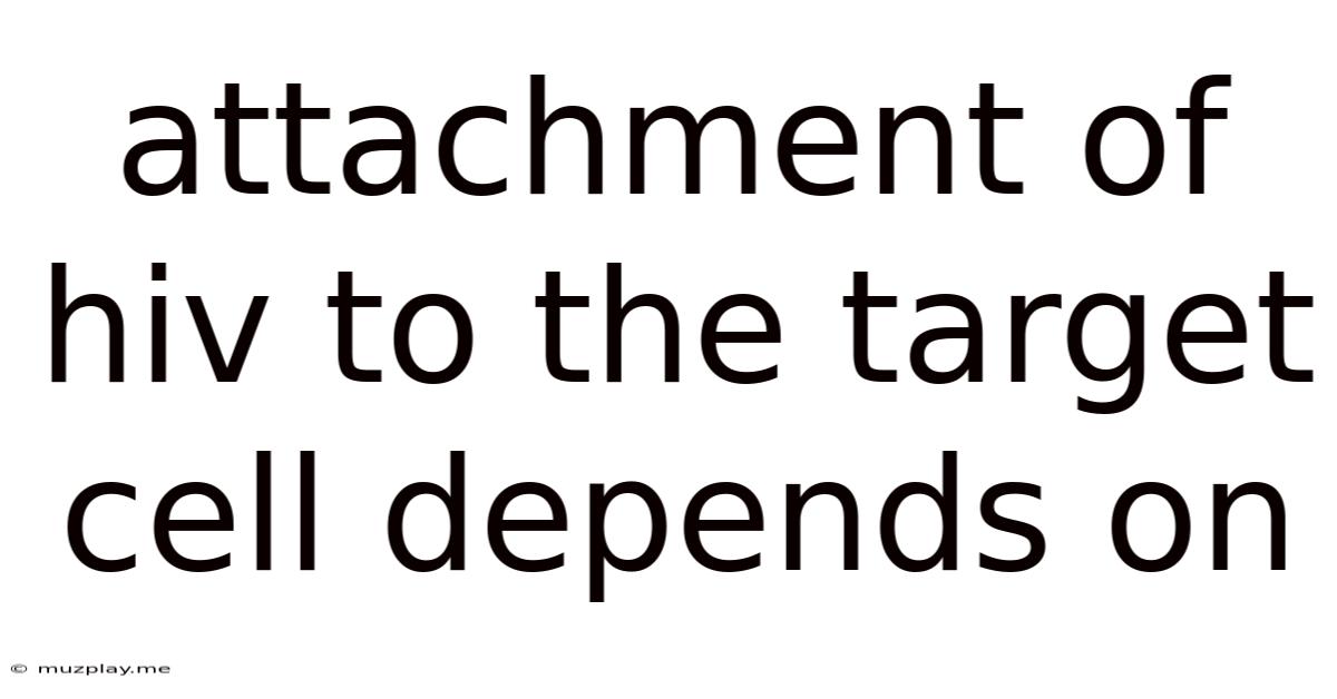 Attachment Of Hiv To The Target Cell Depends On
