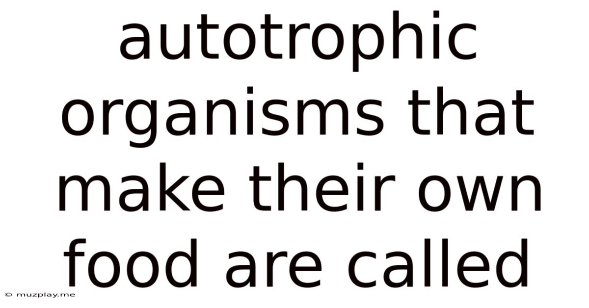 Autotrophic Organisms That Make Their Own Food Are Called