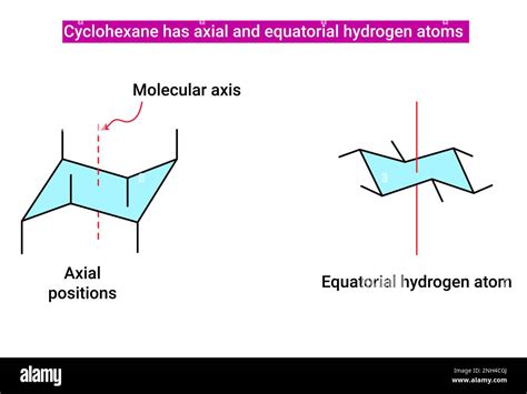 Axial And Equatorial Positions In Cyclohexane