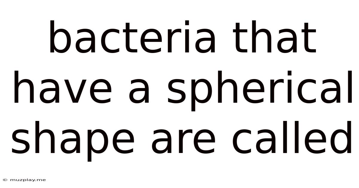 Bacteria That Have A Spherical Shape Are Called