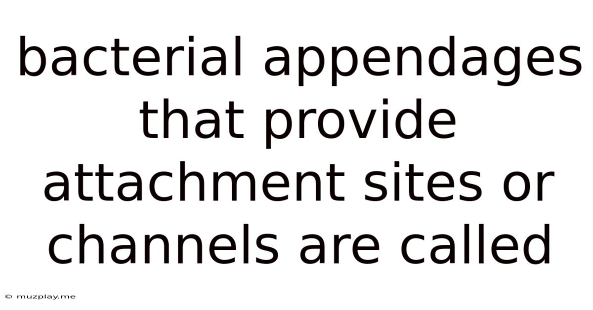 Bacterial Appendages That Provide Attachment Sites Or Channels Are Called