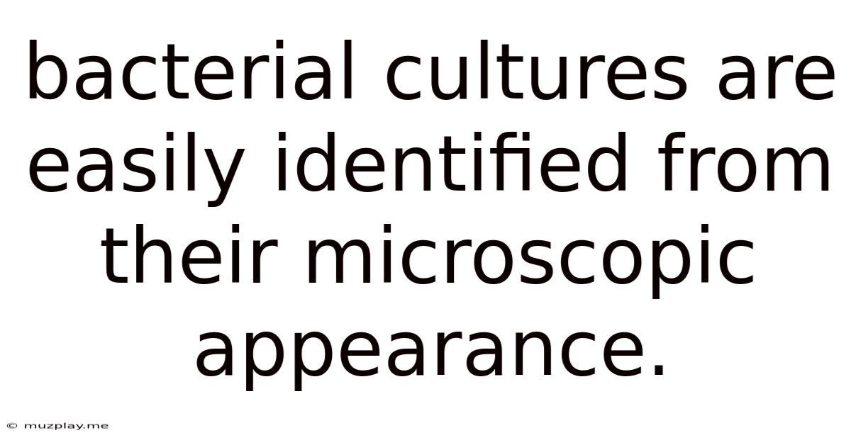 Bacterial Cultures Are Easily Identified From Their Microscopic Appearance.
