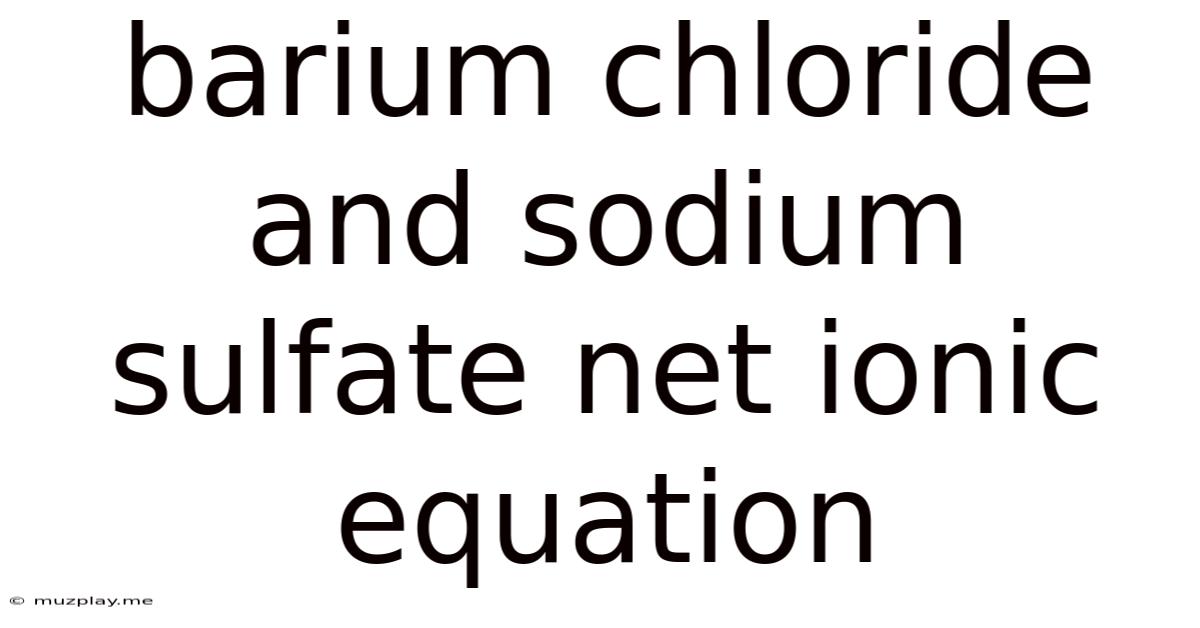 Barium Chloride And Sodium Sulfate Net Ionic Equation