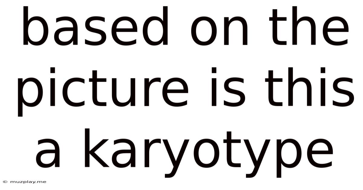 Based On The Picture Is This A Karyotype