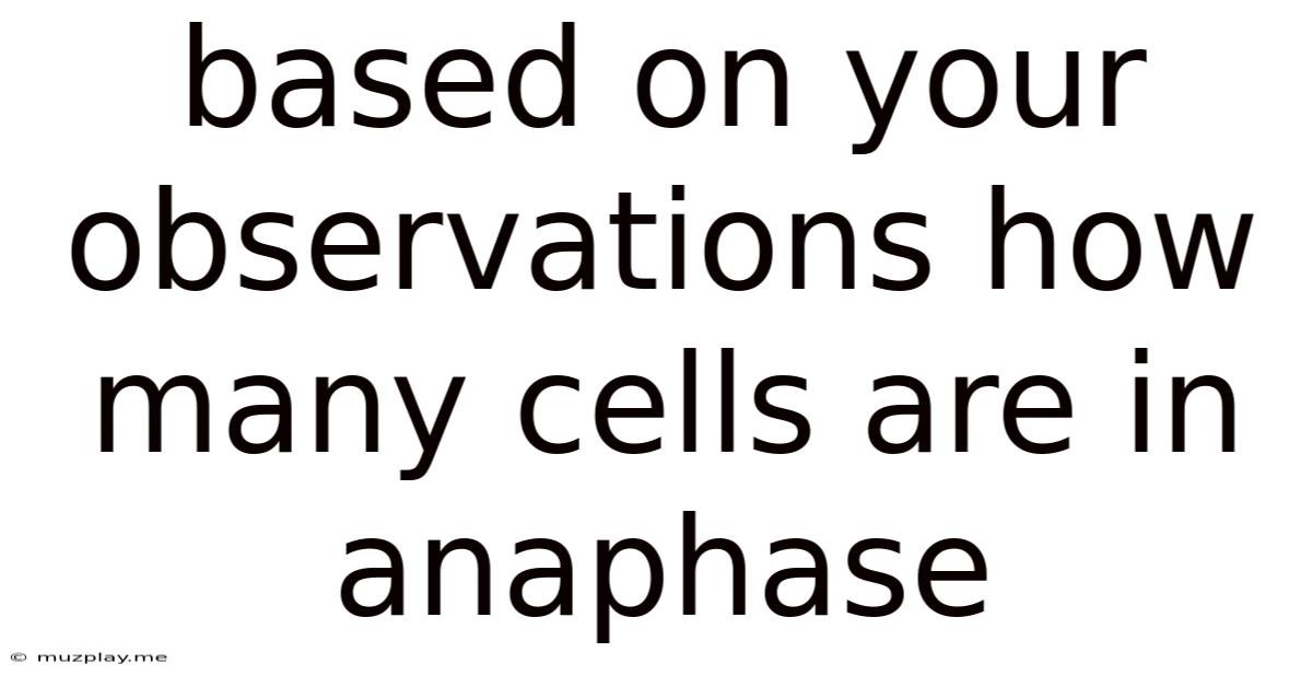 Based On Your Observations How Many Cells Are In Anaphase