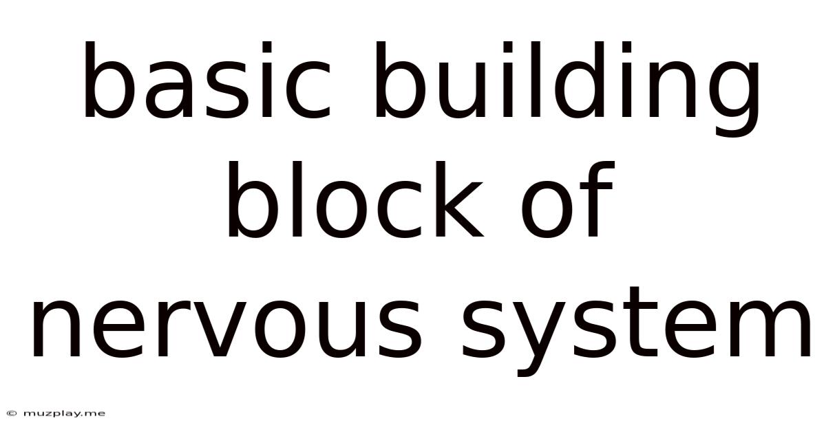 Basic Building Block Of Nervous System