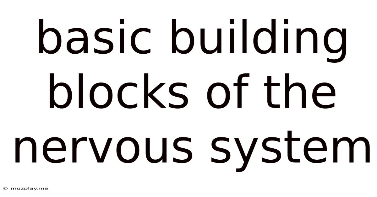 Basic Building Blocks Of The Nervous System
