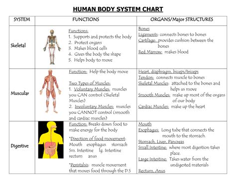 Basic Structural And Functional Unit Of The Body