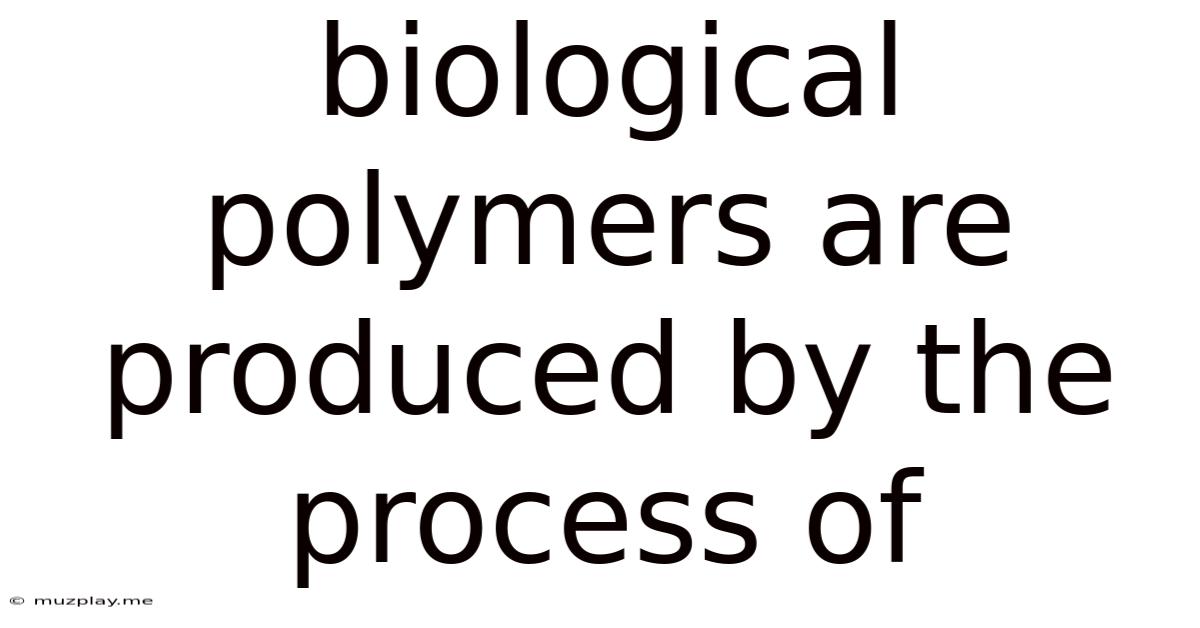 Biological Polymers Are Produced By The Process Of