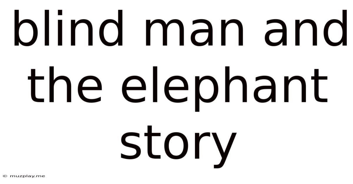 Blind Man And The Elephant Story