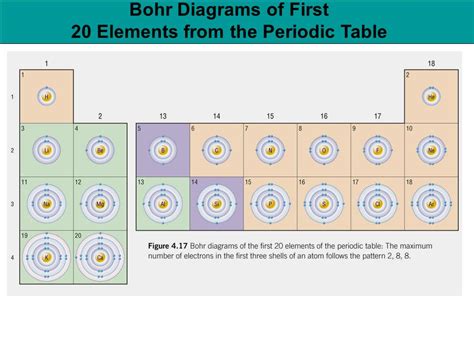 Bohr Diagrams For The First 20 Elements