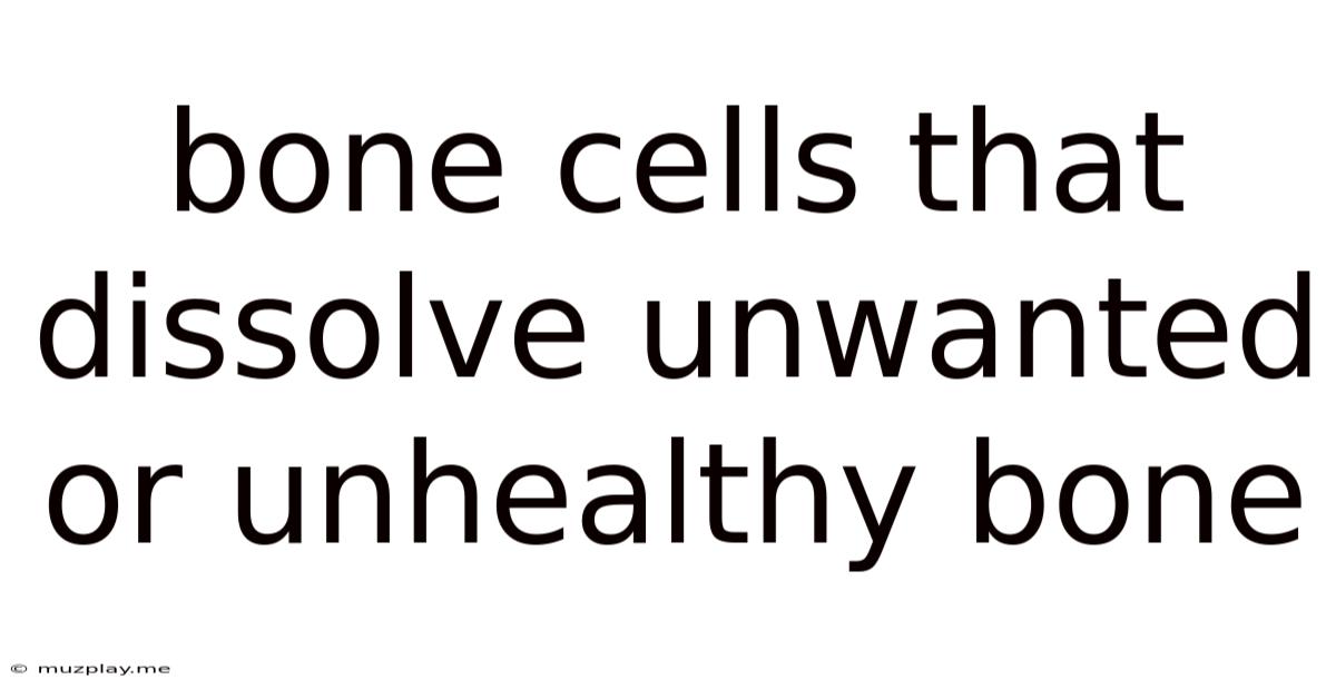 Bone Cells That Dissolve Unwanted Or Unhealthy Bone