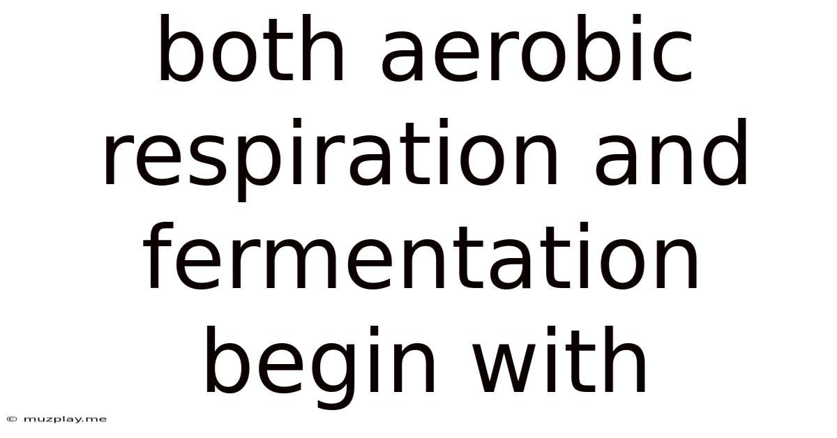 Both Aerobic Respiration And Fermentation Begin With
