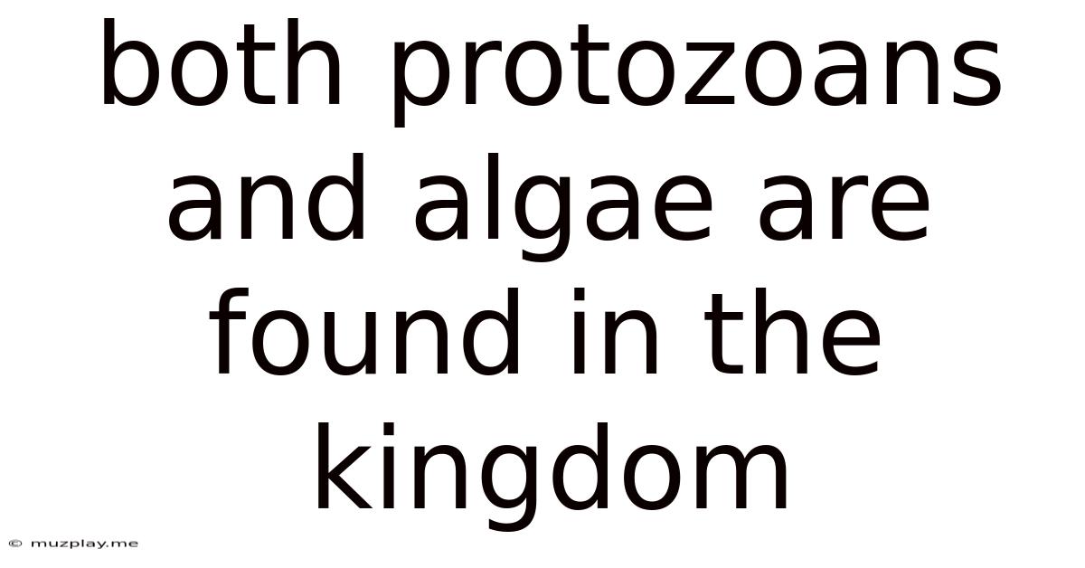Both Protozoans And Algae Are Found In The Kingdom