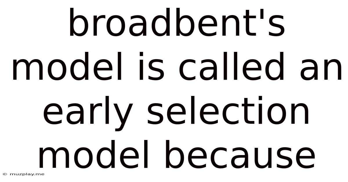 Broadbent's Model Is Called An Early Selection Model Because