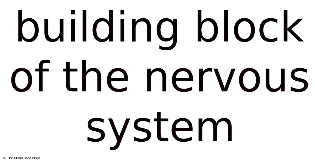 Building Block Of The Nervous System