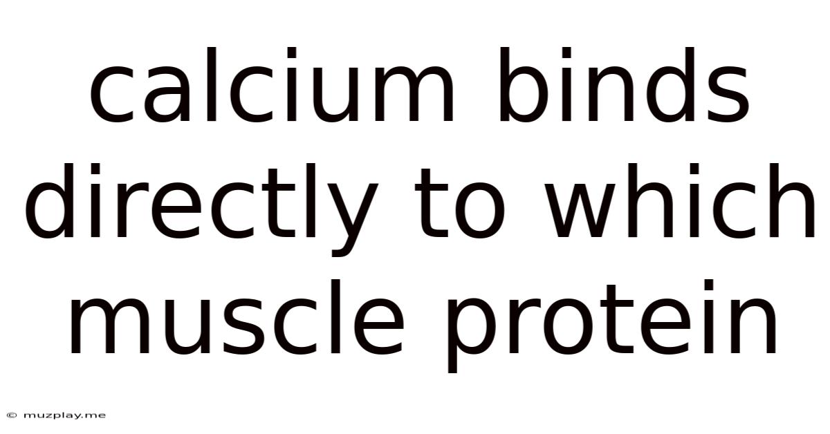 Calcium Binds Directly To Which Muscle Protein