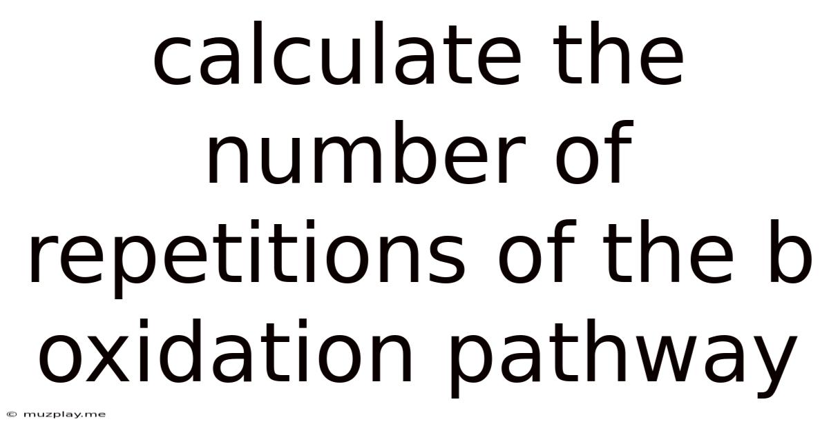 Calculate The Number Of Repetitions Of The B Oxidation Pathway