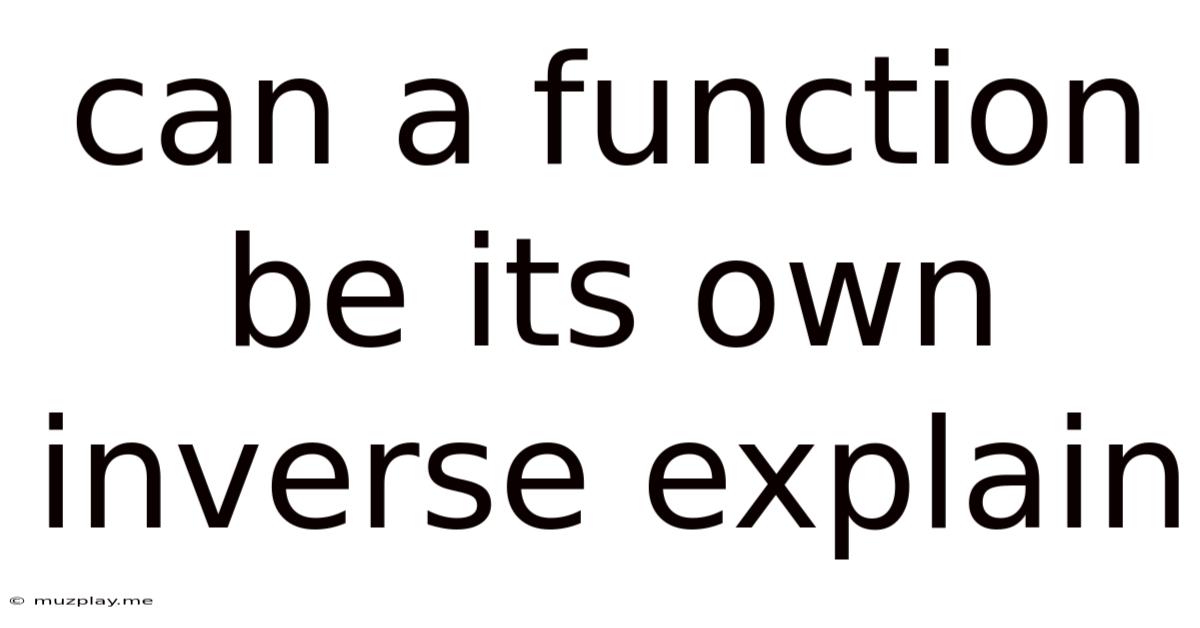 Can A Function Be Its Own Inverse Explain