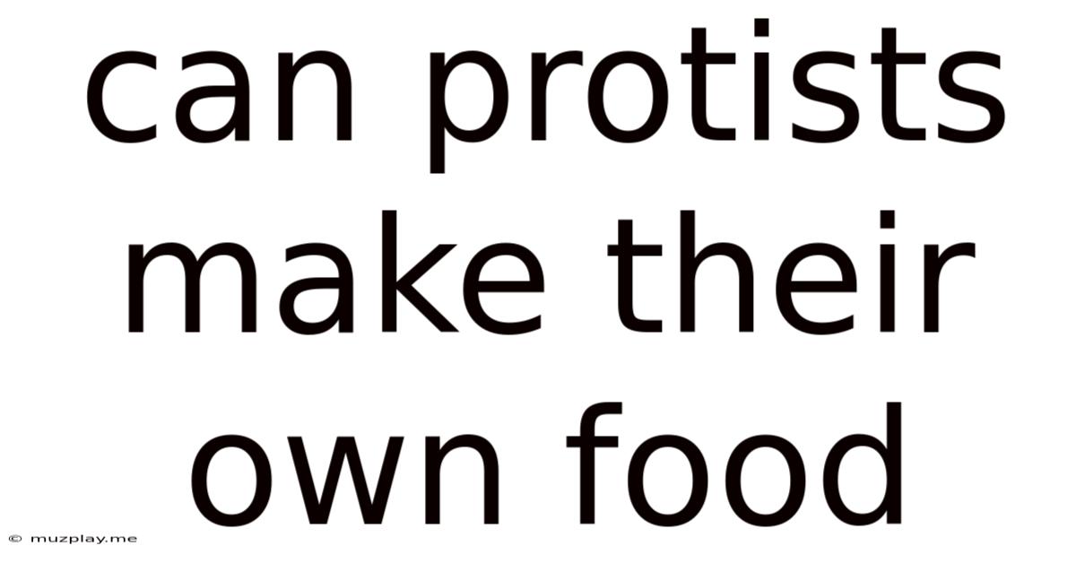Can Protists Make Their Own Food