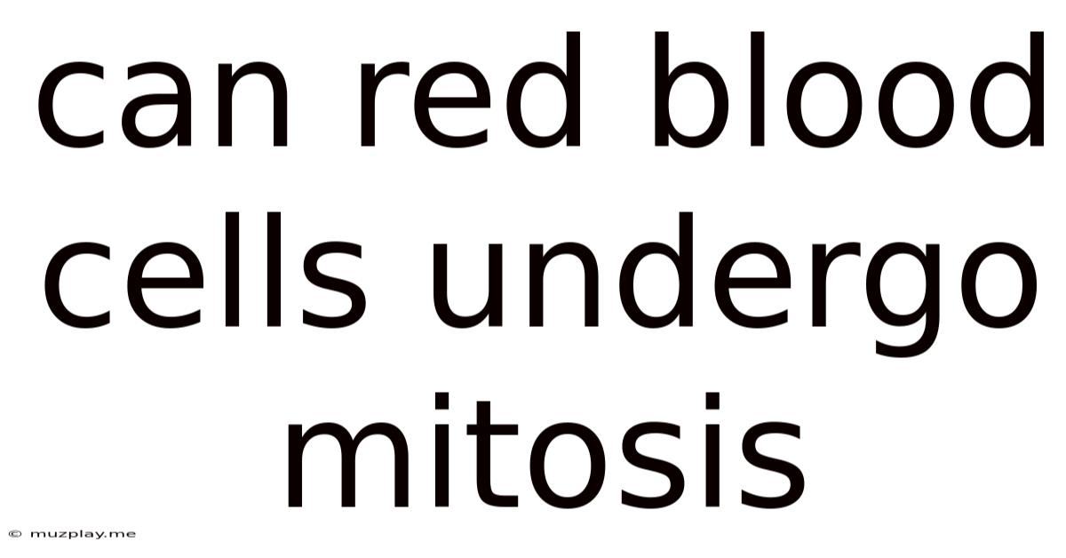 Can Red Blood Cells Undergo Mitosis