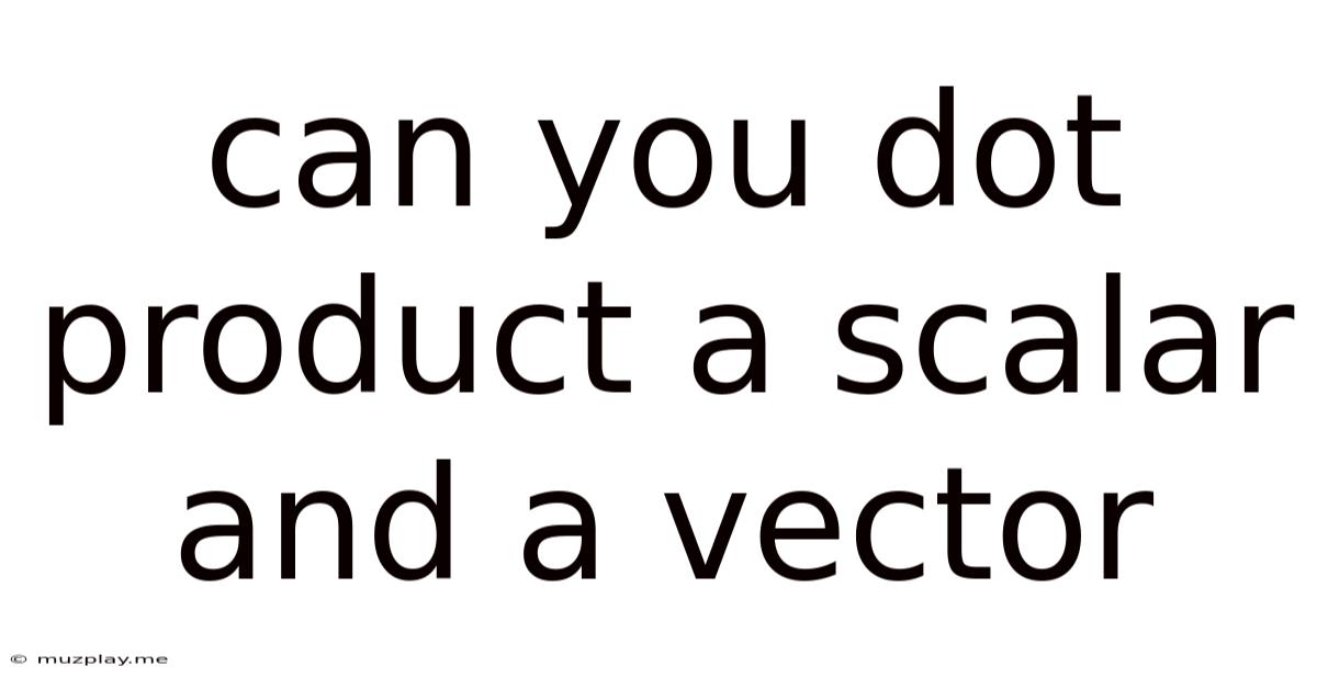 Can You Dot Product A Scalar And A Vector