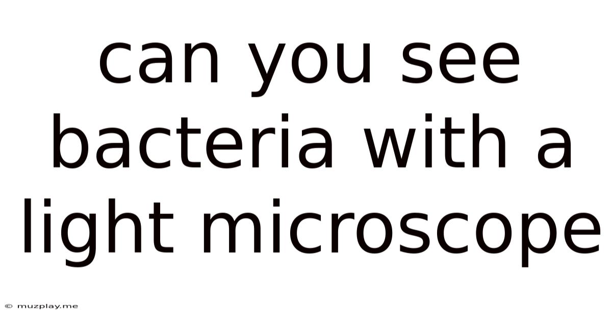 Can You See Bacteria With A Light Microscope