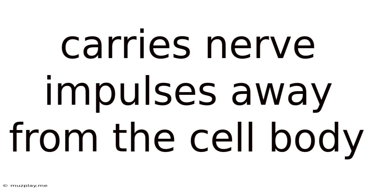 Carries Nerve Impulses Away From The Cell Body